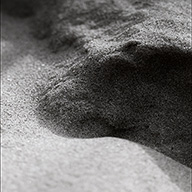 ID302 Macro Sand by Nicholas m Vivian
