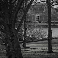 ID497 Palm House through Trees by Nicholas m Vivian