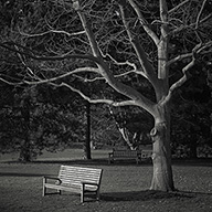 ID486 By the Bench by Nicholas m Vivian