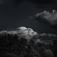 ID577 Cumulus amongst Trees by Nicholas m Vivian