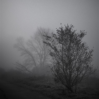 ID595 Night Fog by Nicholas M Vivian
