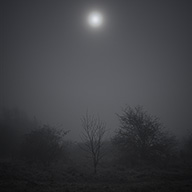 ID591 Night Fog by Nicholas m Vivian