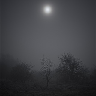 ID591 Night Fog by Nicholas M Vivian